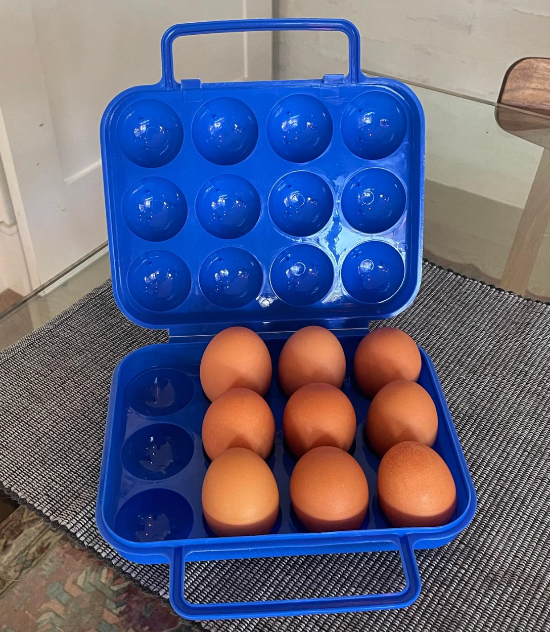 No Break Egg Carrier