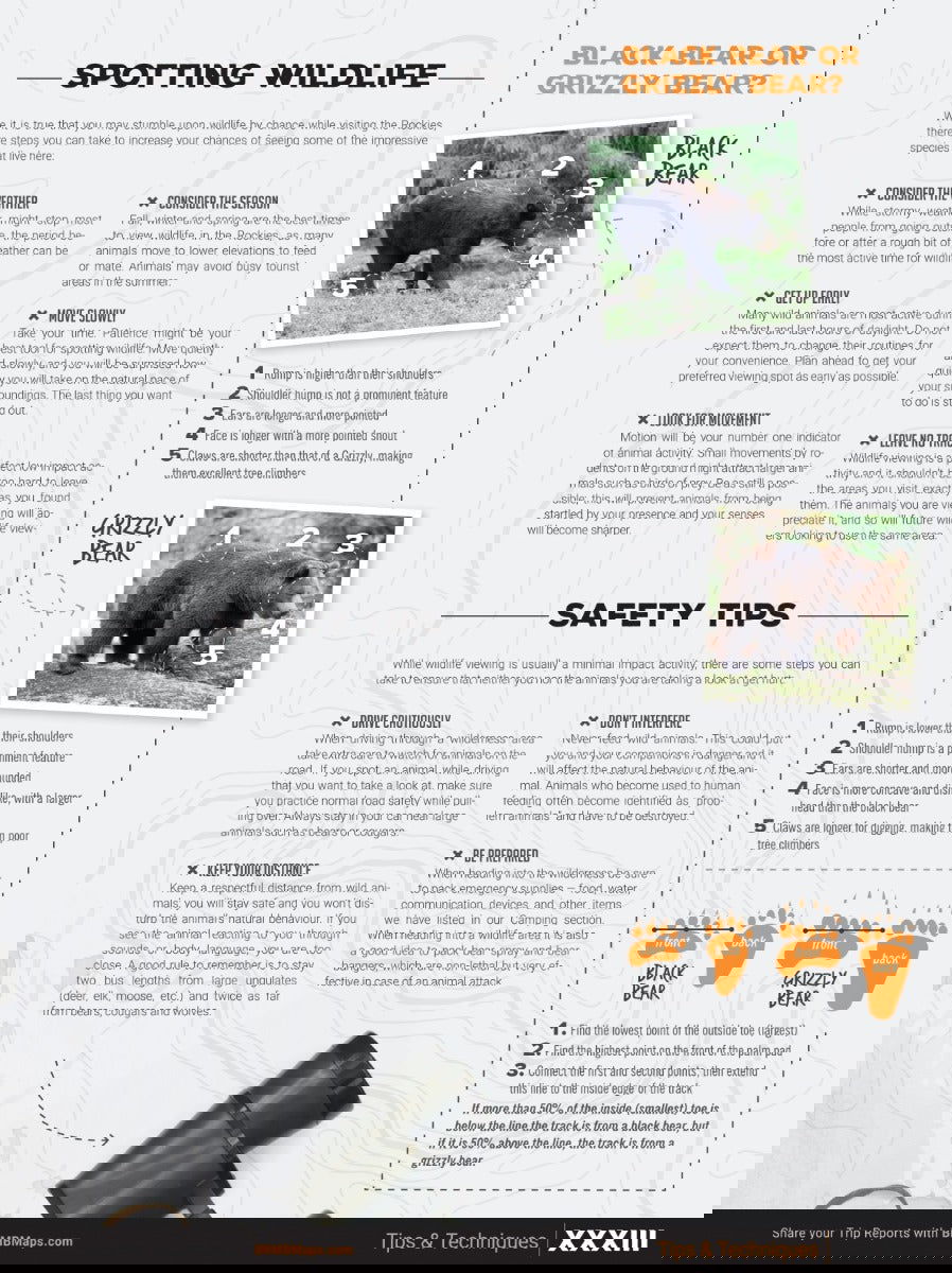 Canadian Rockies Backroad Mapbook