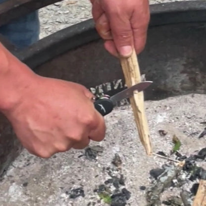 Scout